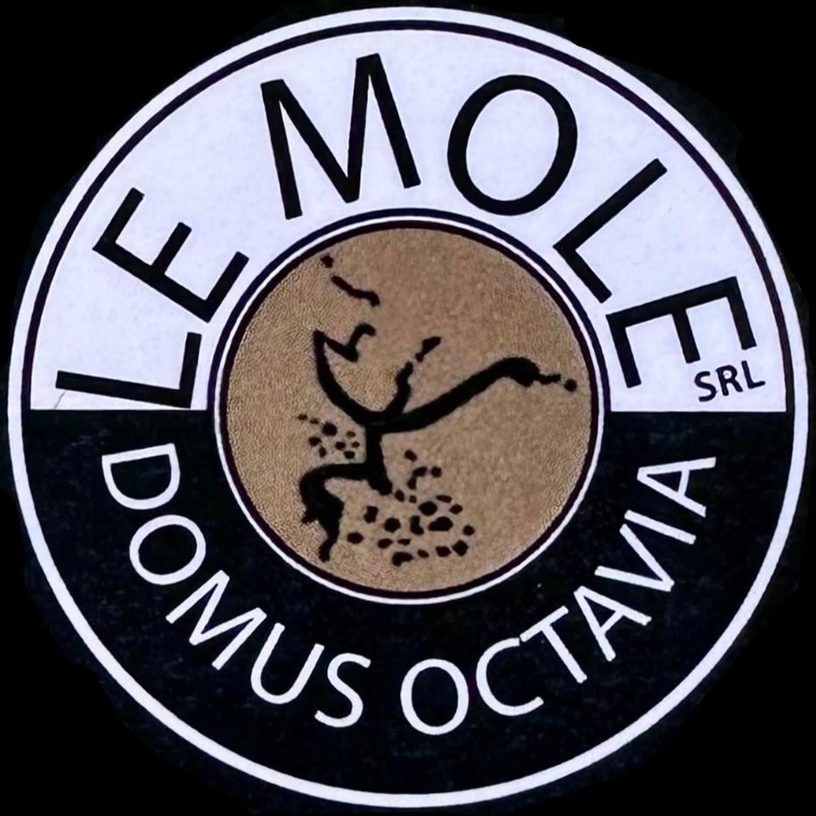 lemoledomusoctavia.it
